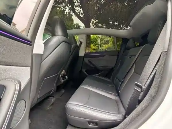 Tesla Model Y — миниатюра 4