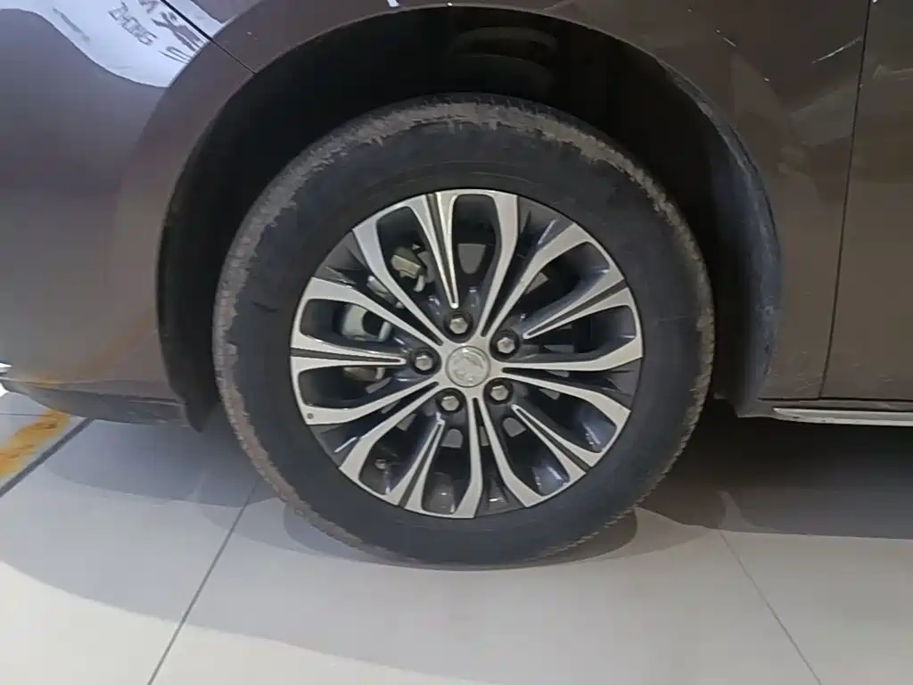 Buick GL8 — миниатюра 23