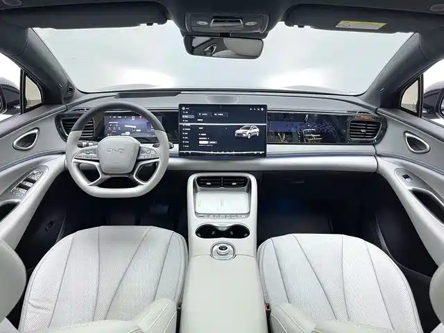 BYD Haisi 06 — миниатюра 8