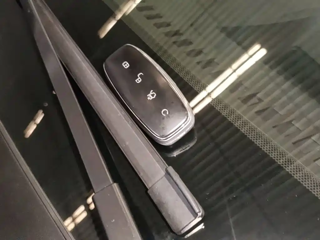 Denza Denza D9 — миниатюра 9