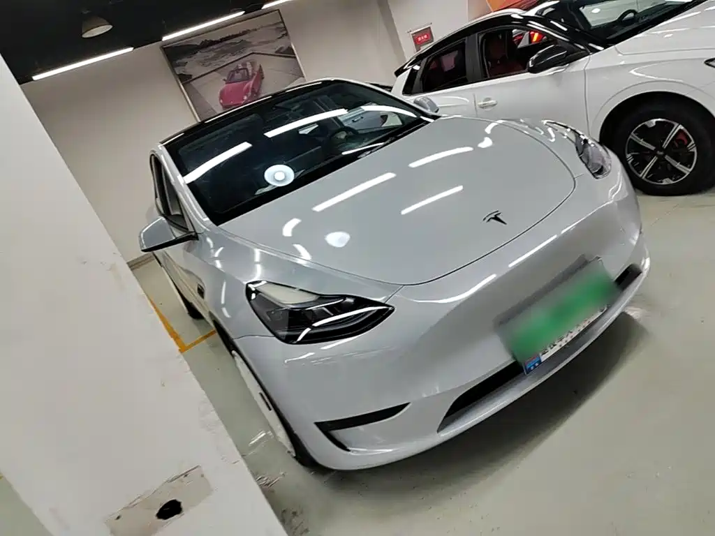 Tesla Model Y — миниатюра 4