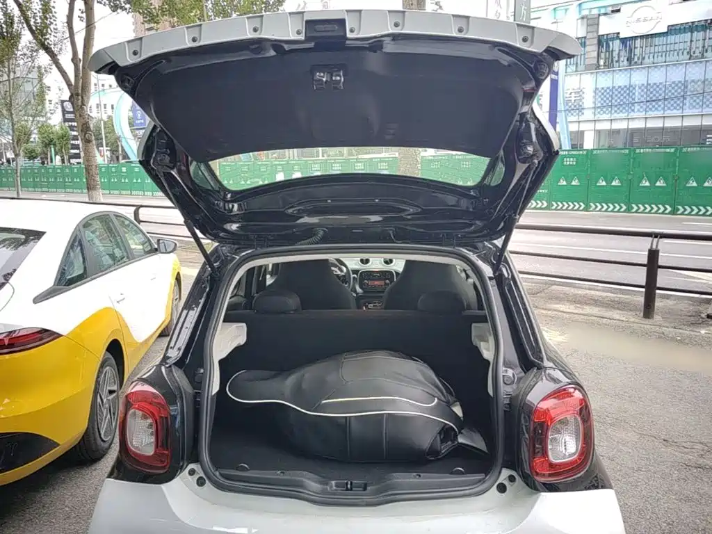 smart Smart Forfour — миниатюра 19