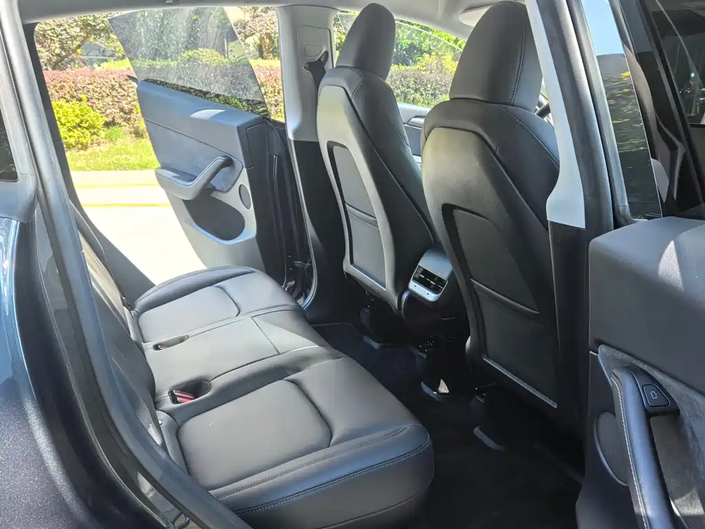 Tesla Model Y — миниатюра 11