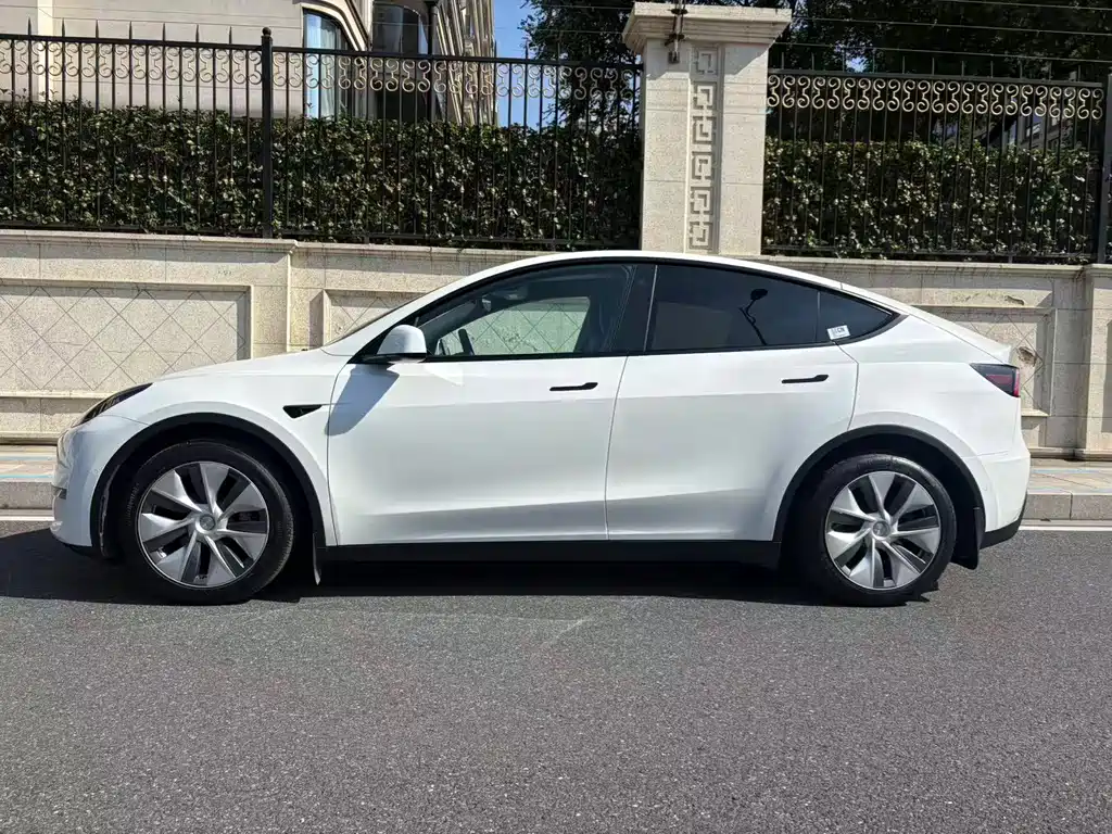 Tesla Model Y — миниатюра 3