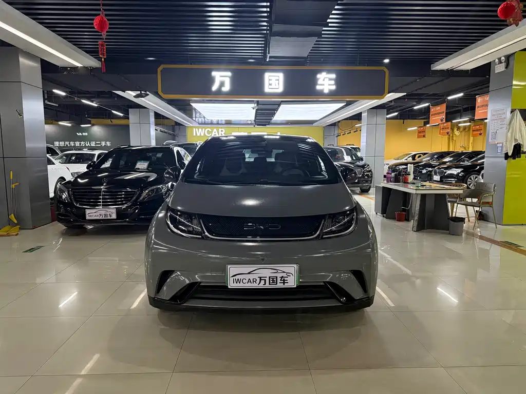 Byd Dolphin 2022