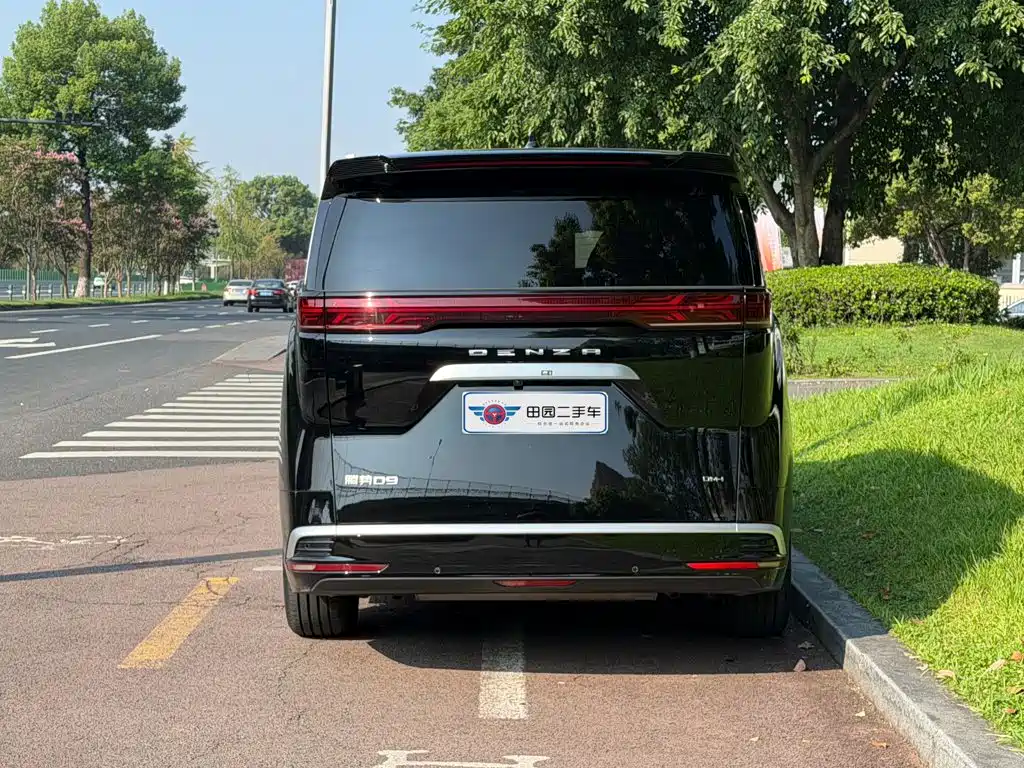 Denza Denza D9 — миниатюра 5