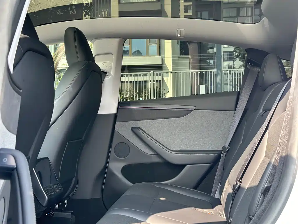 Tesla Model Y — миниатюра 10
