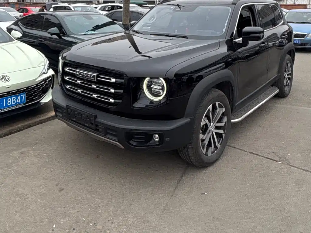 HAVAL BIG DOG