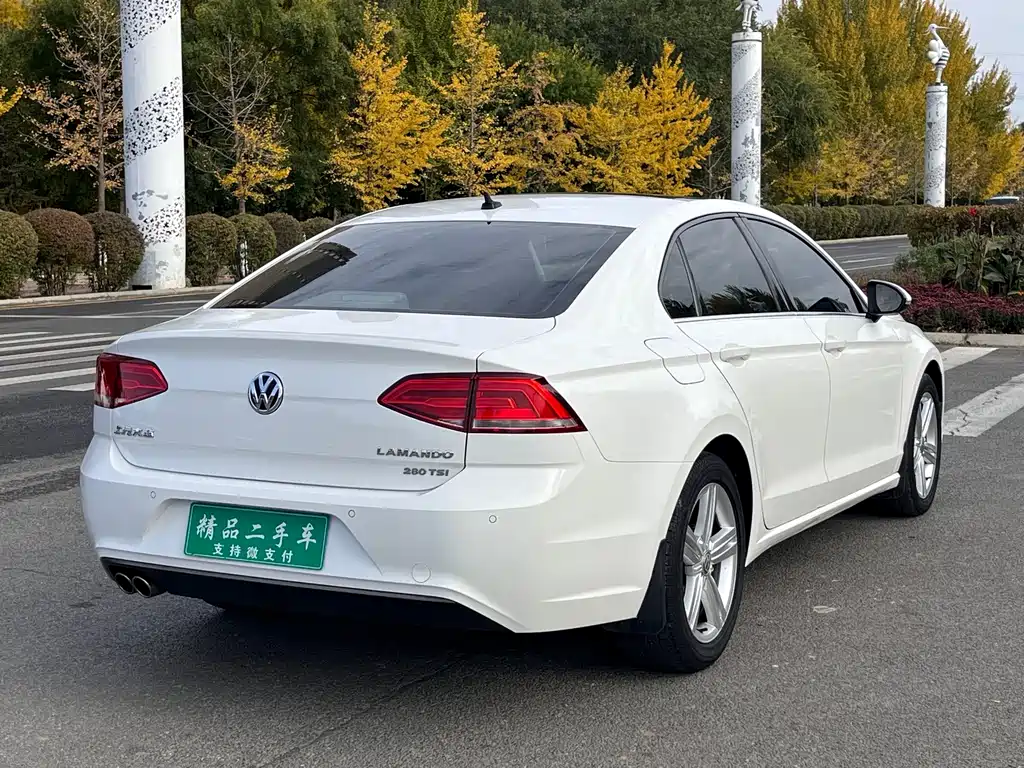 Volkswagen Lamando — миниатюра 9