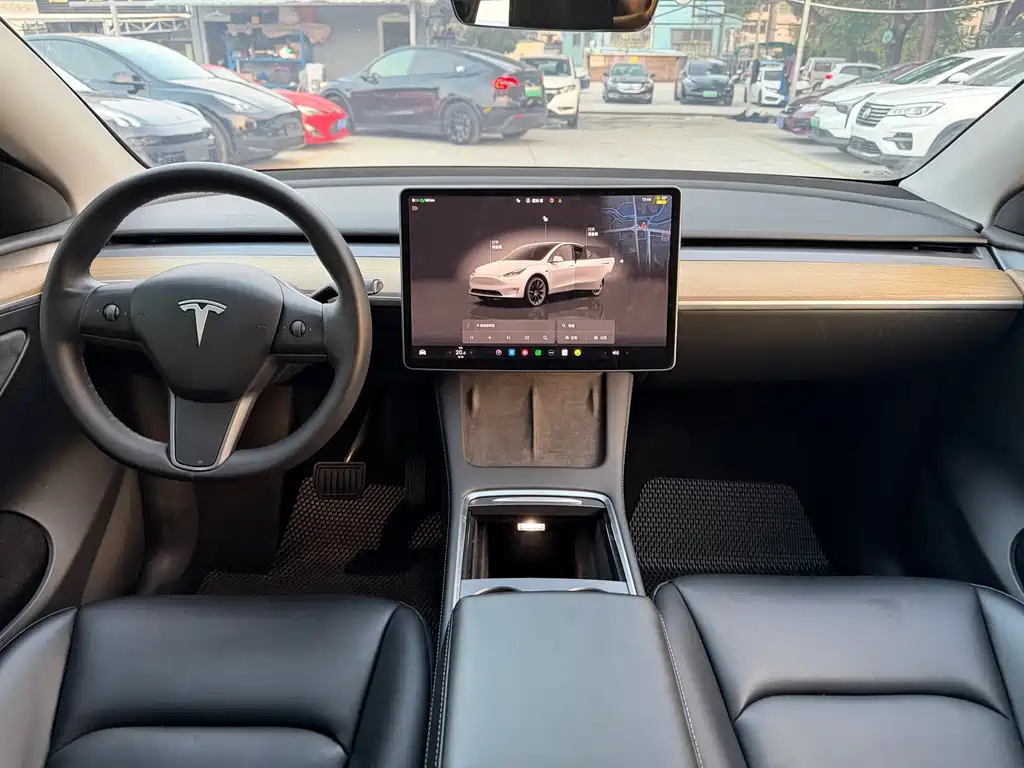 Tesla Model Y — миниатюра 9