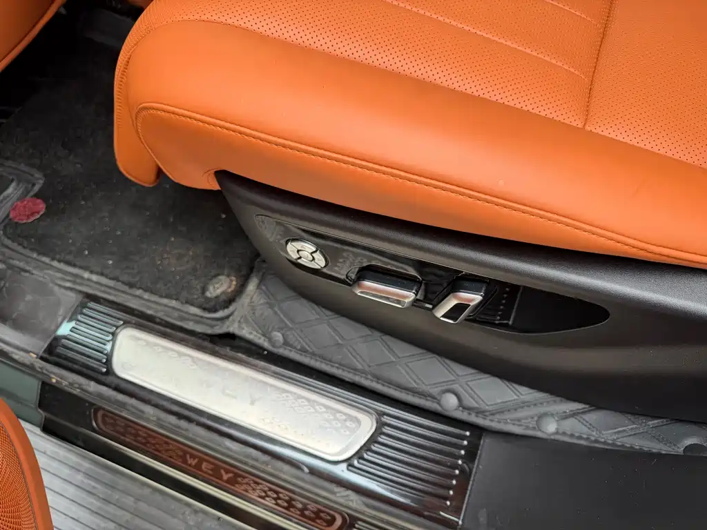 WEI PAI WEI BRAND BLUE MOUNTAIN