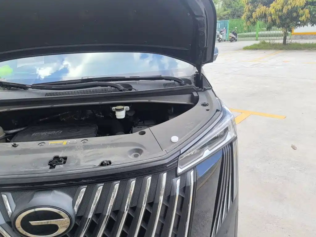 GAC Motor Trumpchi M8 — миниатюра 20