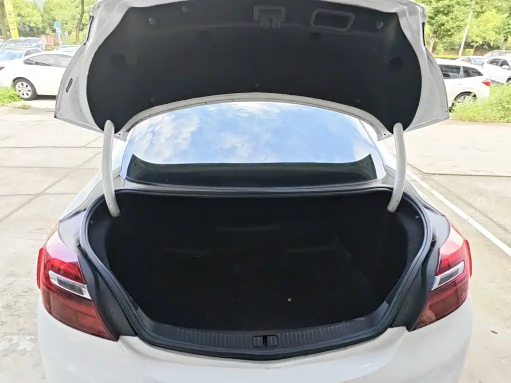 Buick Regal — миниатюра 19