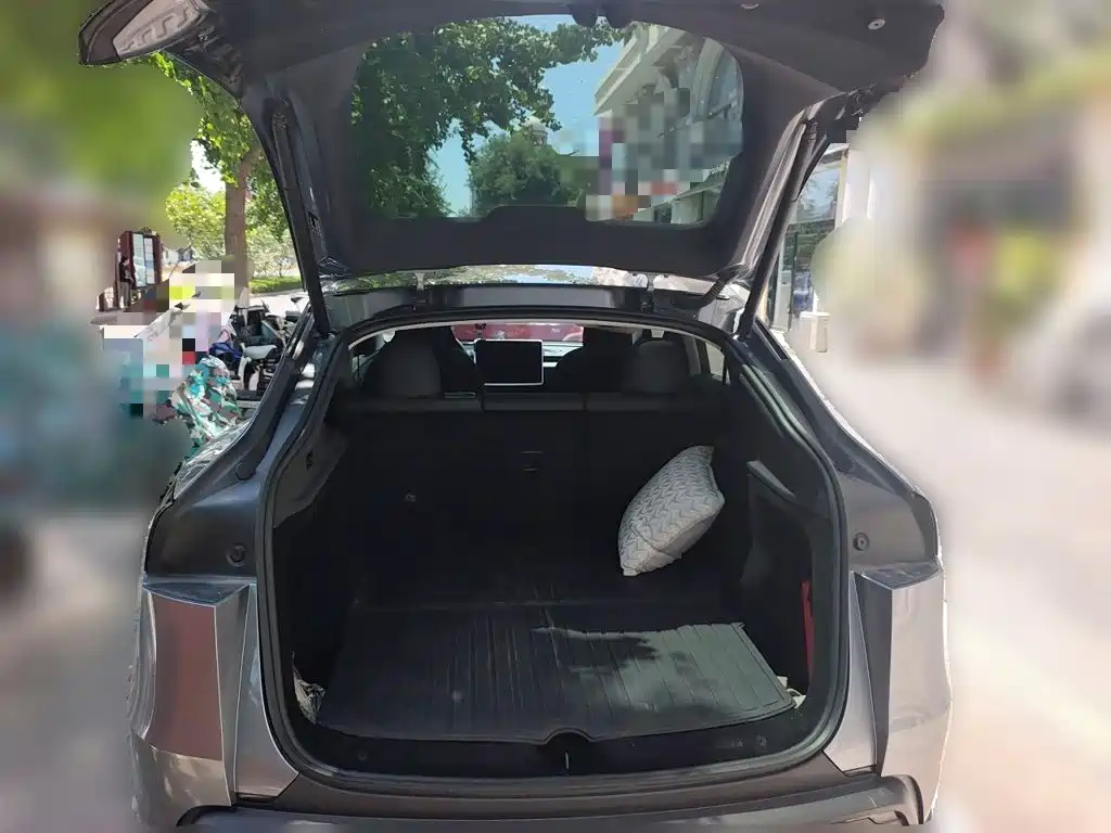 Tesla Model Y — миниатюра 10