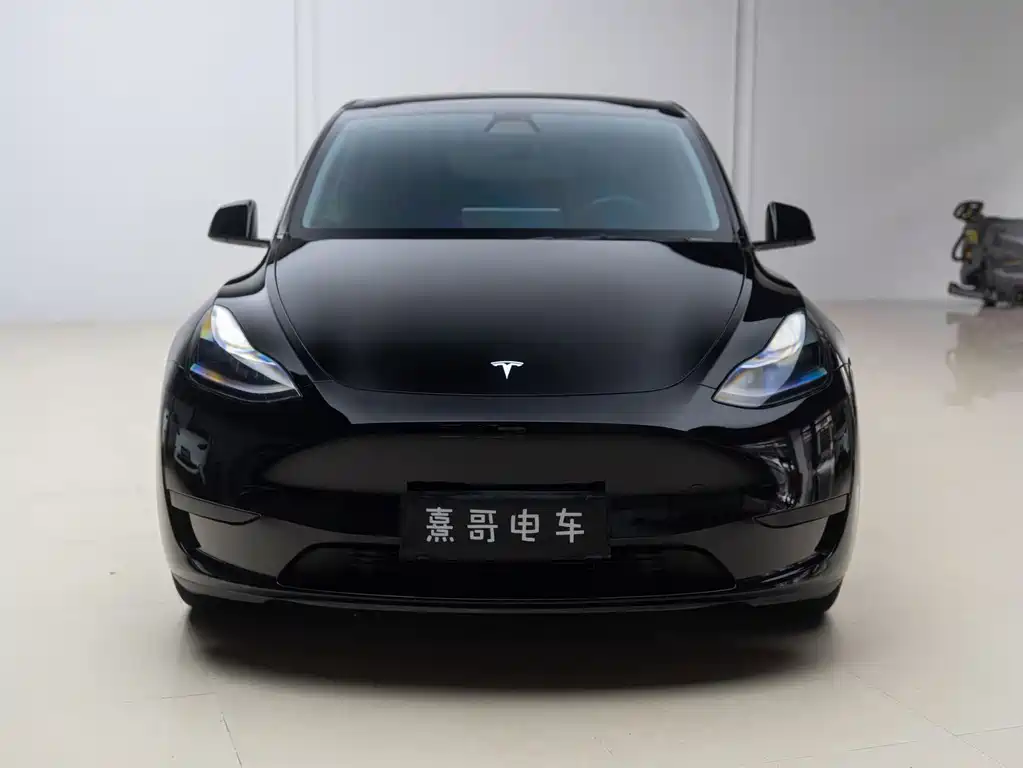 Tesla Model Y — миниатюра 2