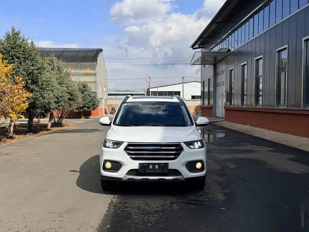 Haval H6 — миниатюра 2