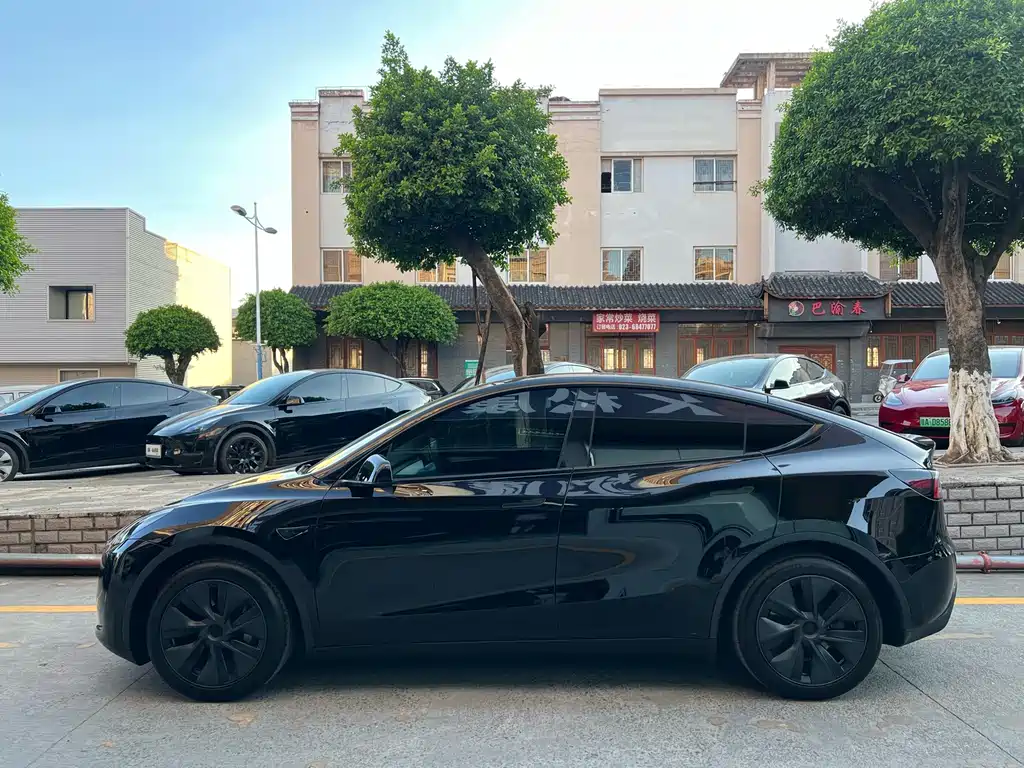 Tesla Model Y — миниатюра 3