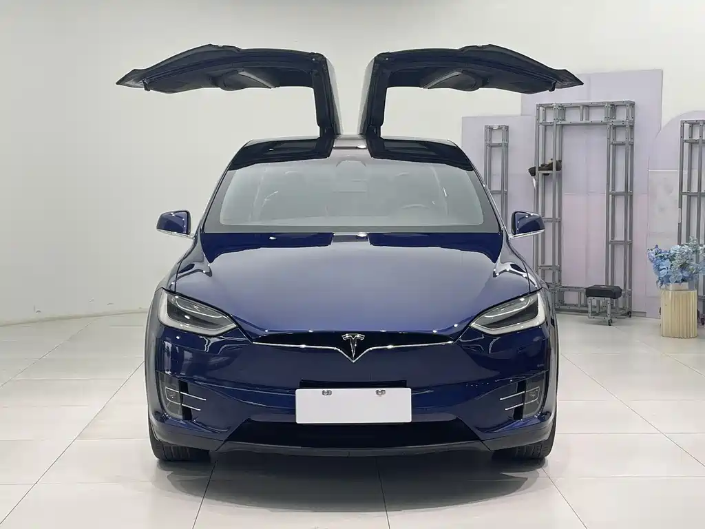 Tesla Model X 2017 Model X 100D