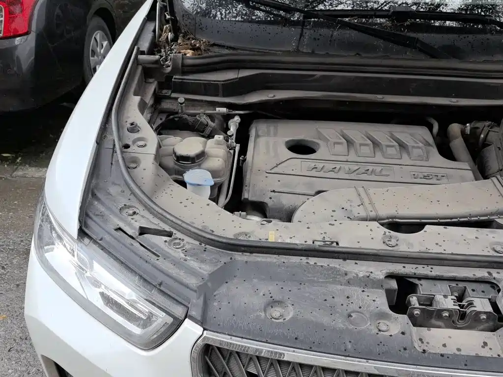 Haval H6 — миниатюра 20