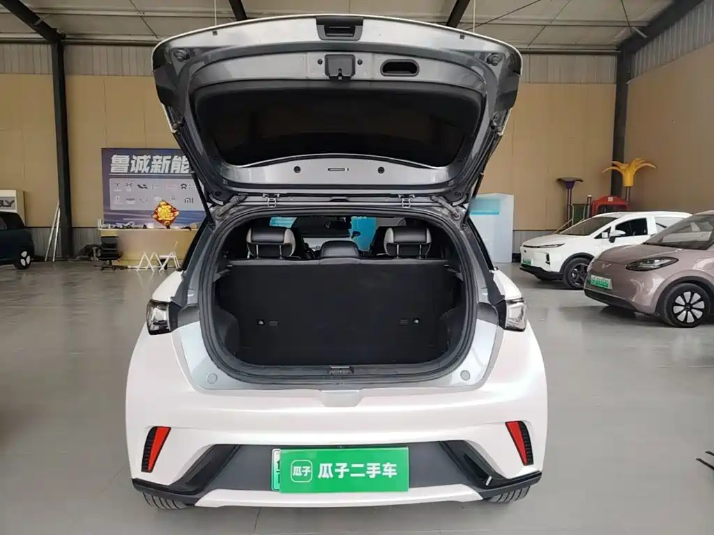 BYD Dolphin — миниатюра 19