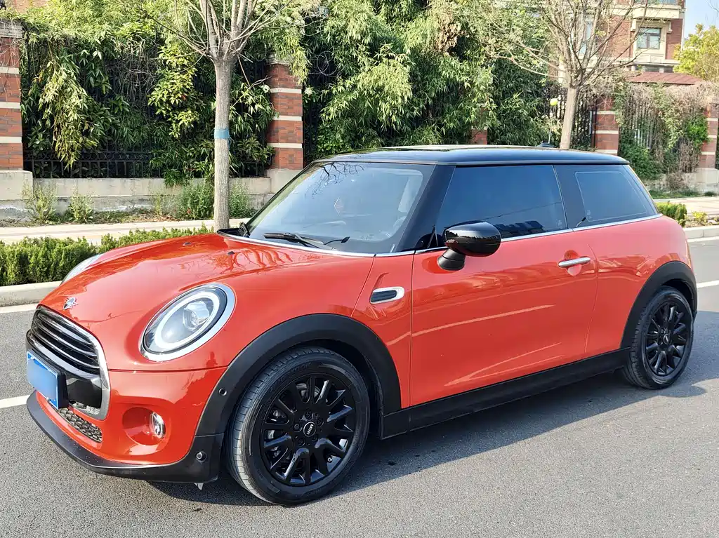 Mini Mini 2020