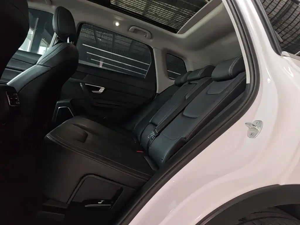 BYD Pro — миниатюра 17