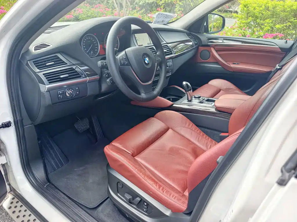 BMW X6 — миниатюра 8