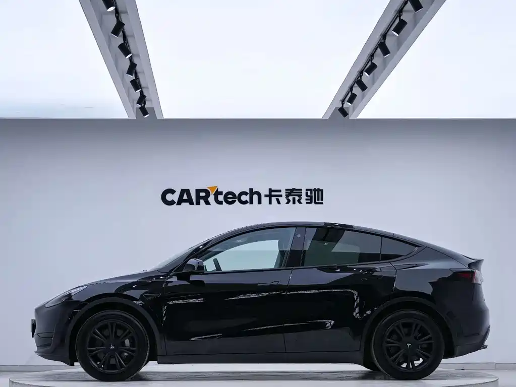 Tesla Model Y — миниатюра 4