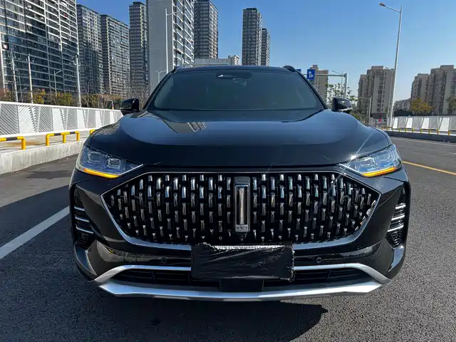 2021 Wey Mocha