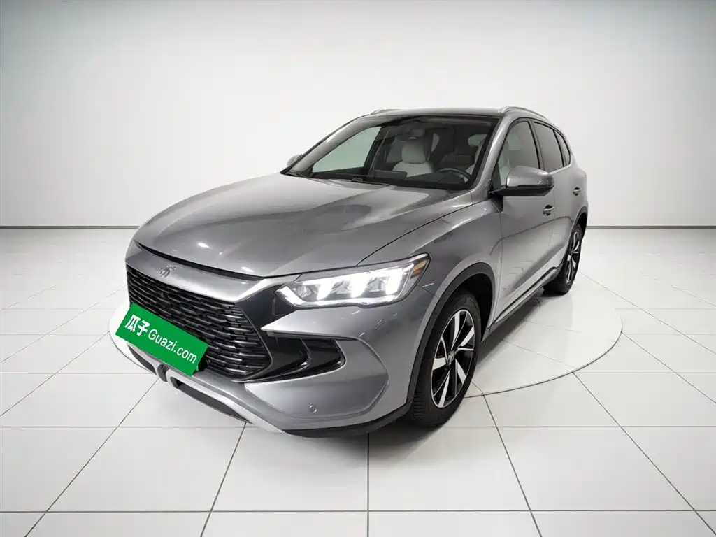 Byd Pro New Energy 2024