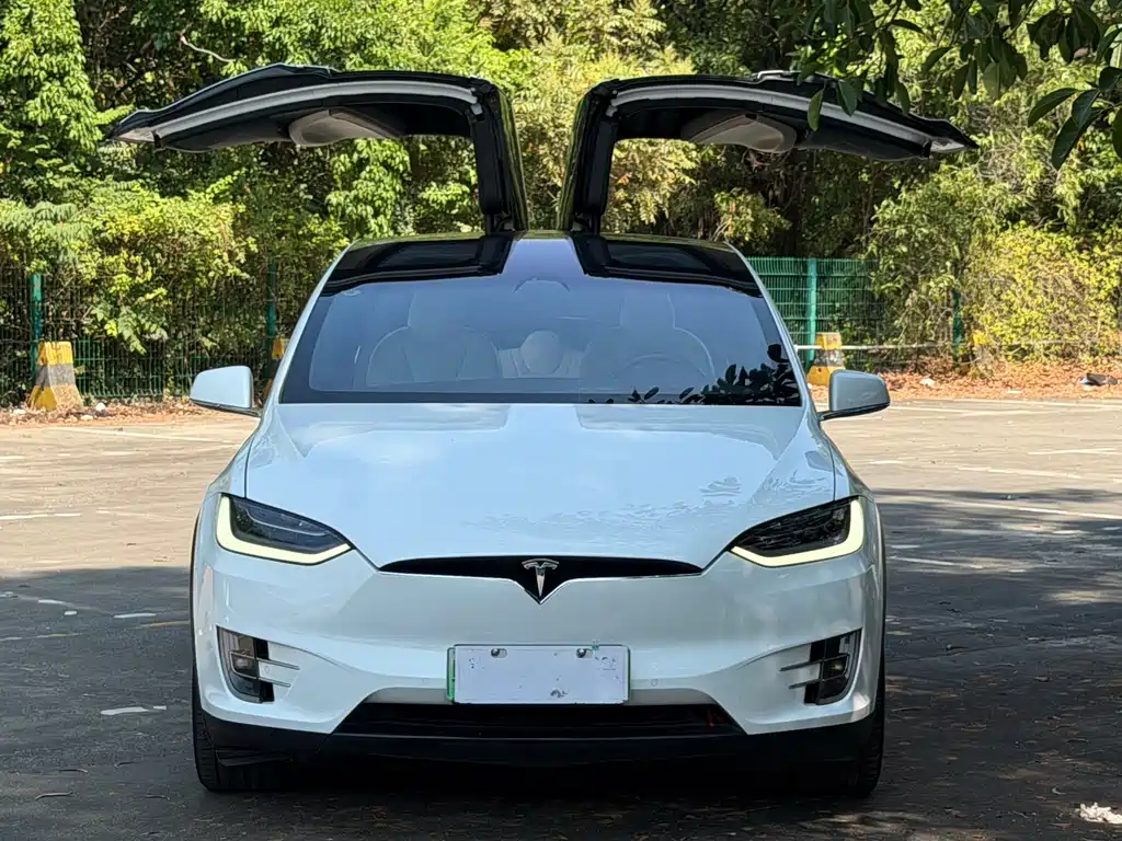 Tesla Model X — миниатюра 2