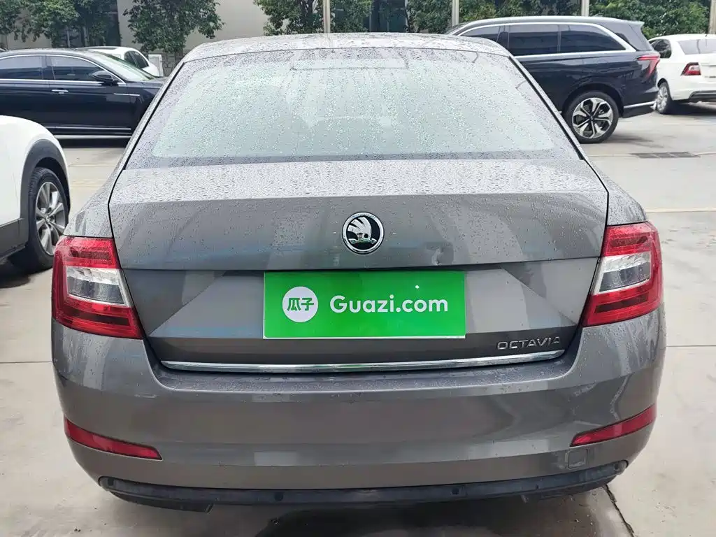 Skoda Octavia — миниатюра 6