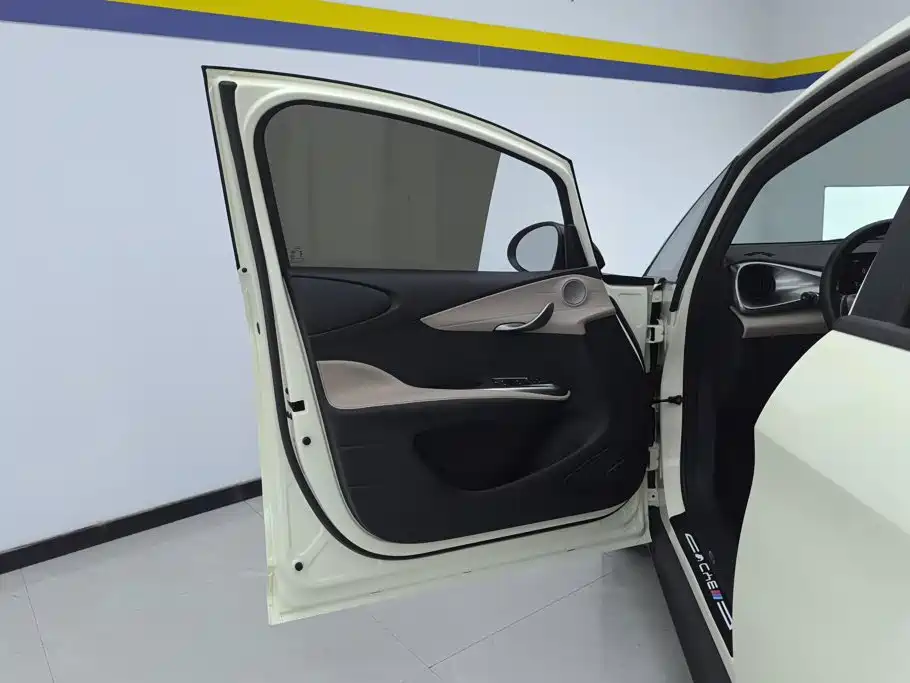 BYD Dolphin — миниатюра 7