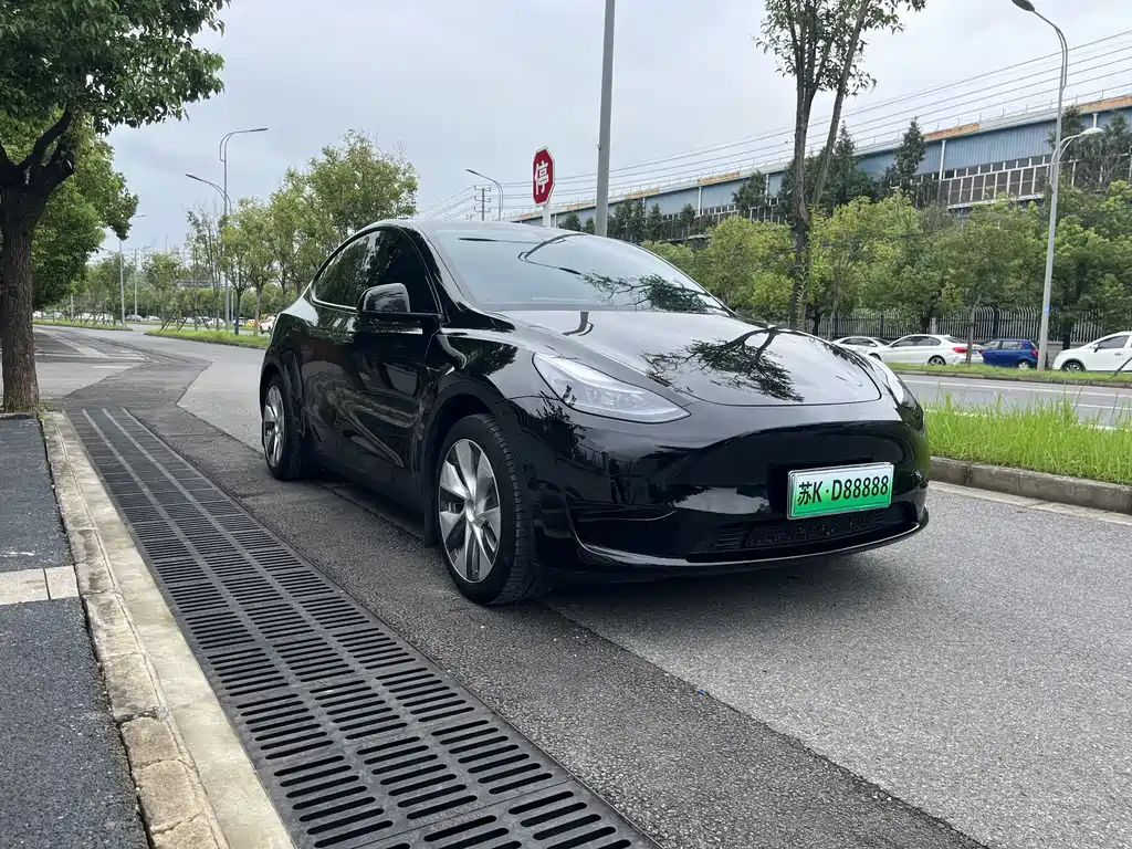 Tesla Model Y — миниатюра 3