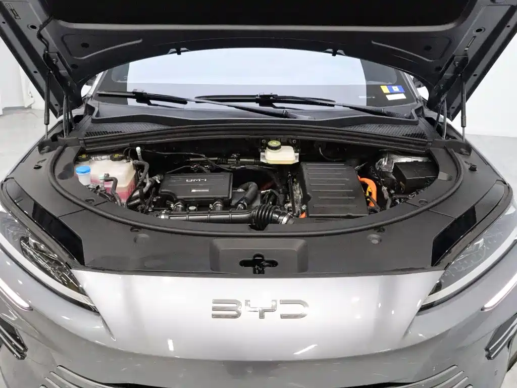 BYD PLUS New Energy — миниатюра 20