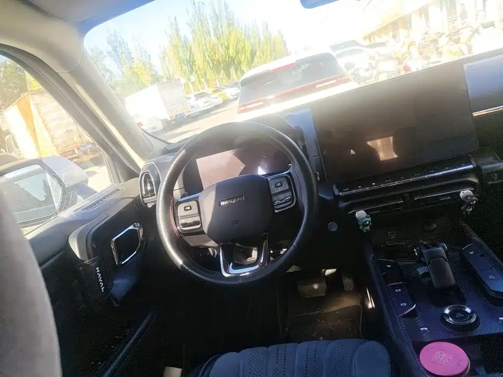 Haval Big Dog PLUS — миниатюра 6