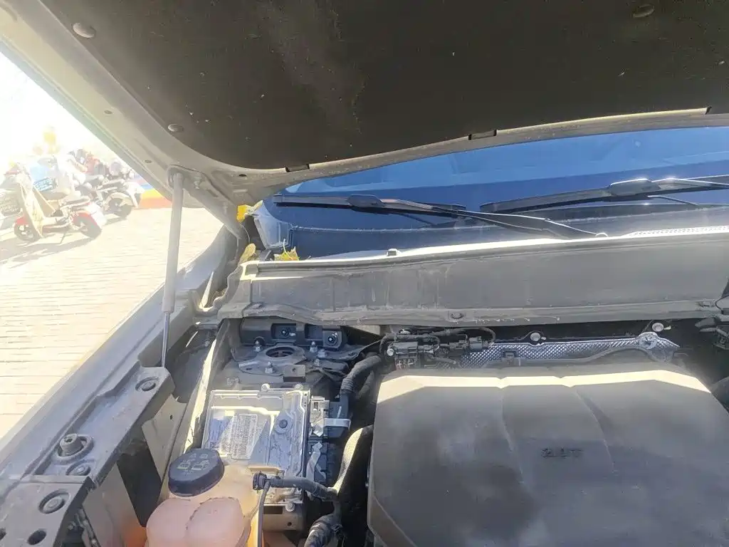 Haval Big Dog PLUS — миниатюра 20