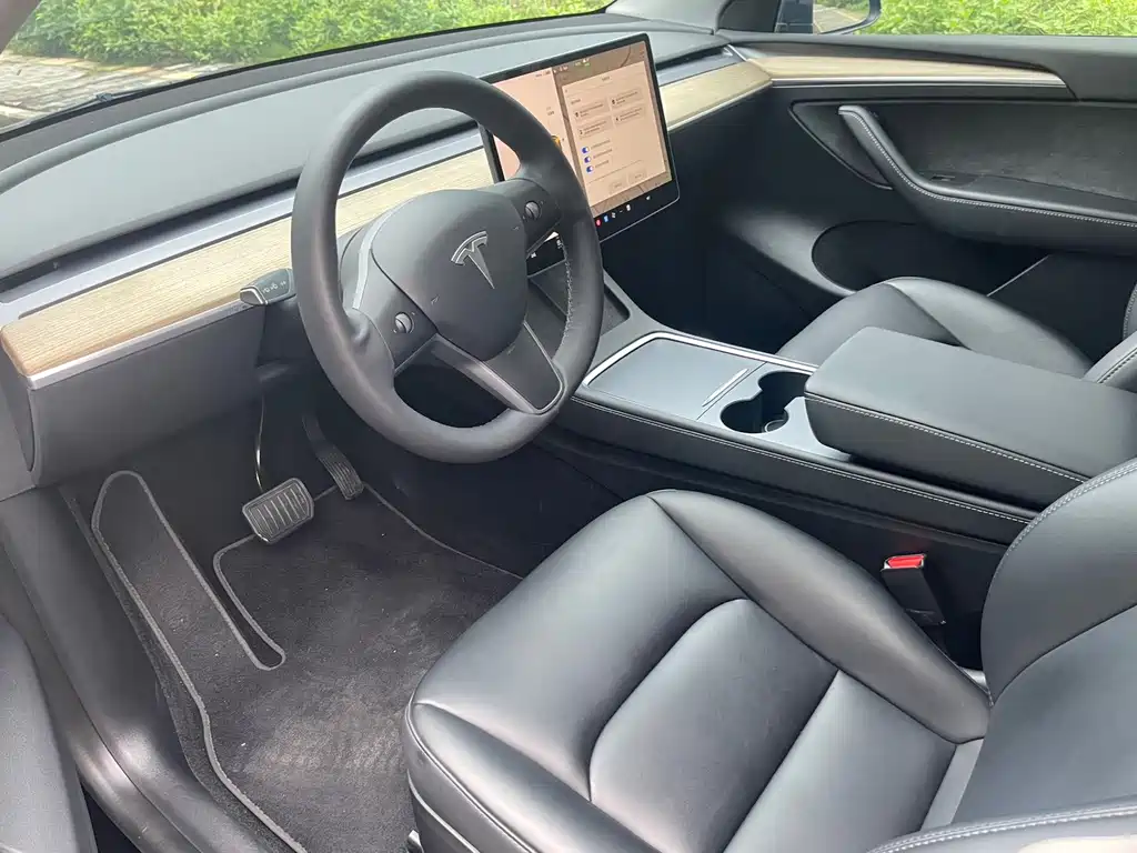 Tesla Model Y — миниатюра 6