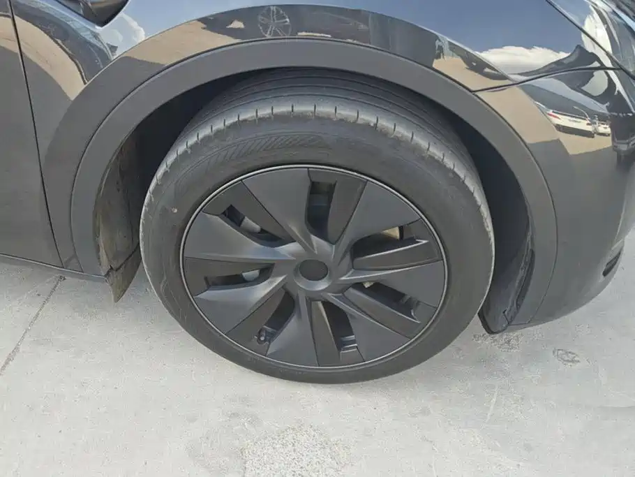 Tesla Model Y — миниатюра 6
