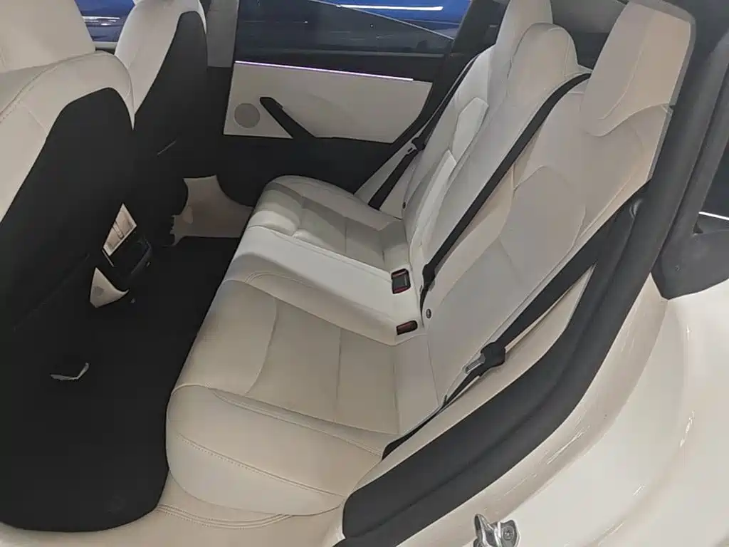 Tesla Model 3 — миниатюра 17