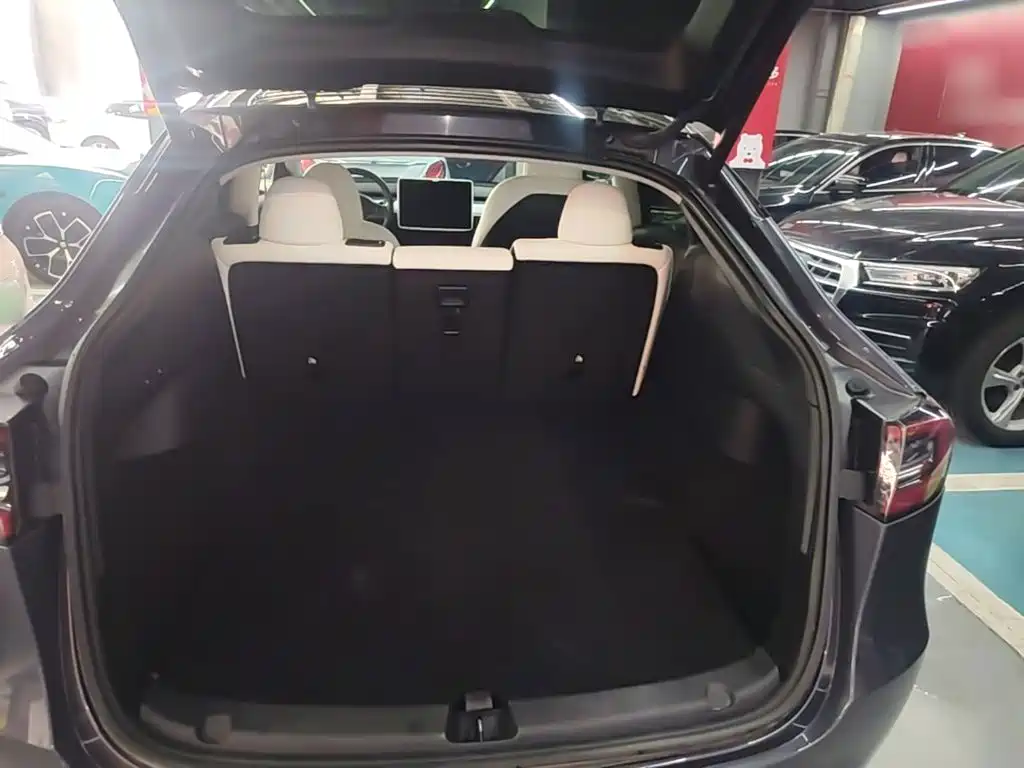 Tesla Model Y — миниатюра 19