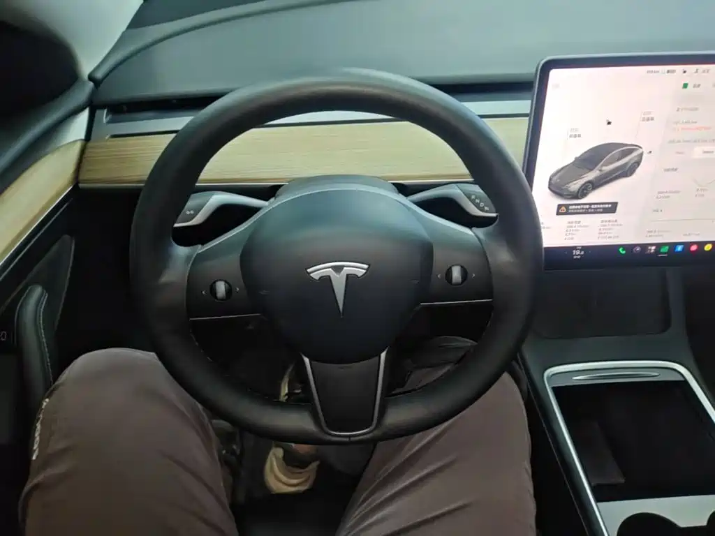 Tesla Model Y — миниатюра 11