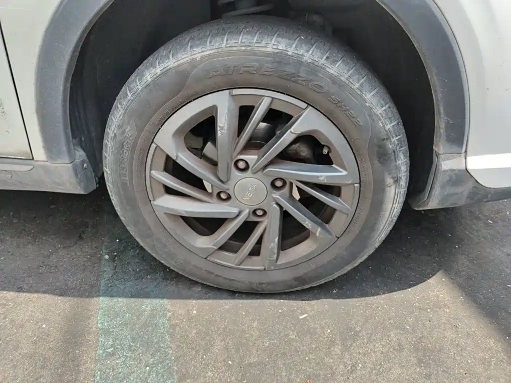 Neta Neta V — миниатюра 25