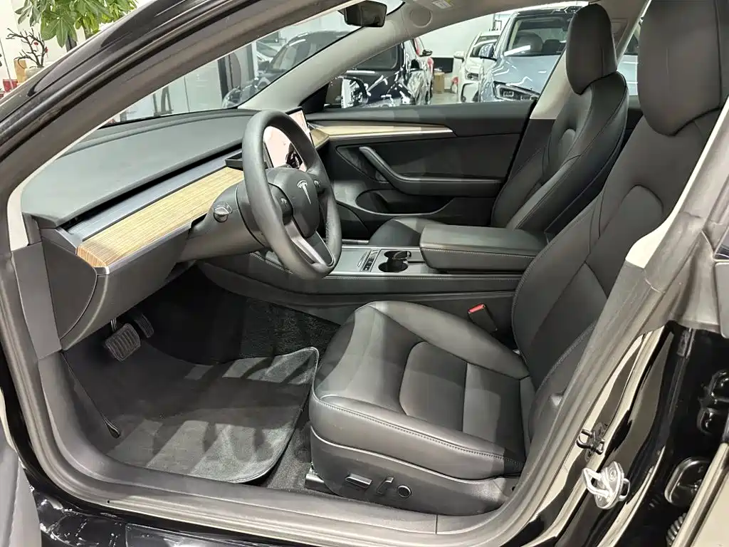 Tesla Model 3 — миниатюра 3