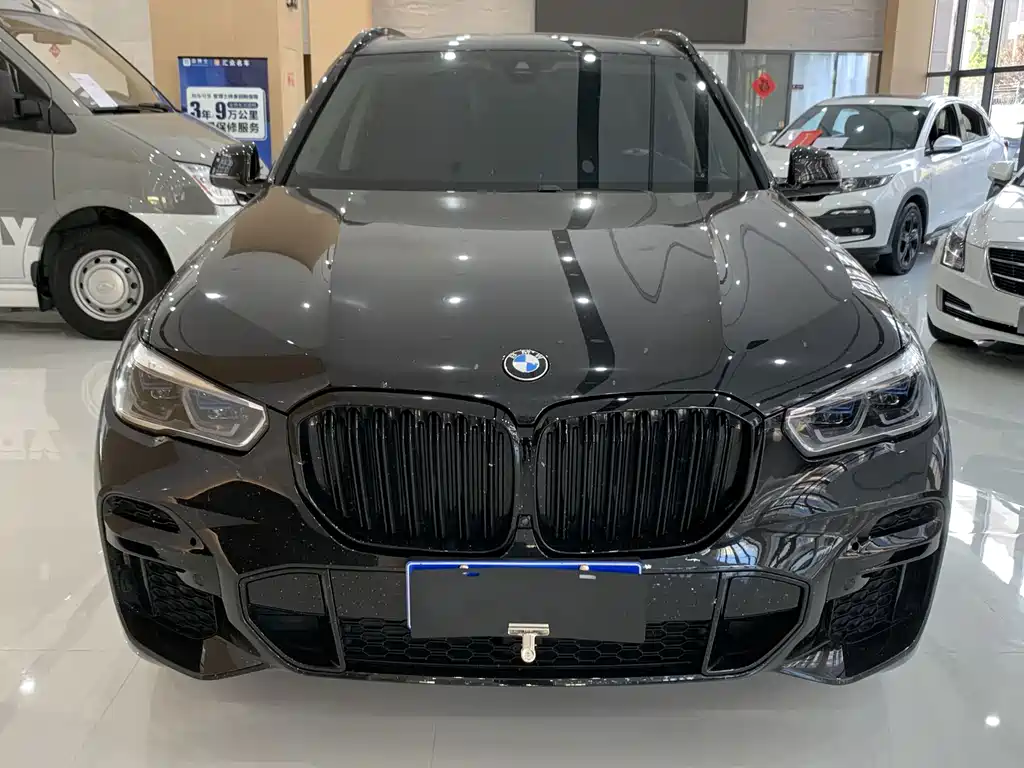BMW X5 (Import) — миниатюра 2