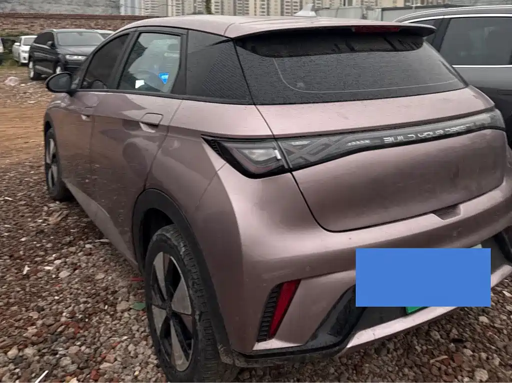 BYD Dolphin — миниатюра 7