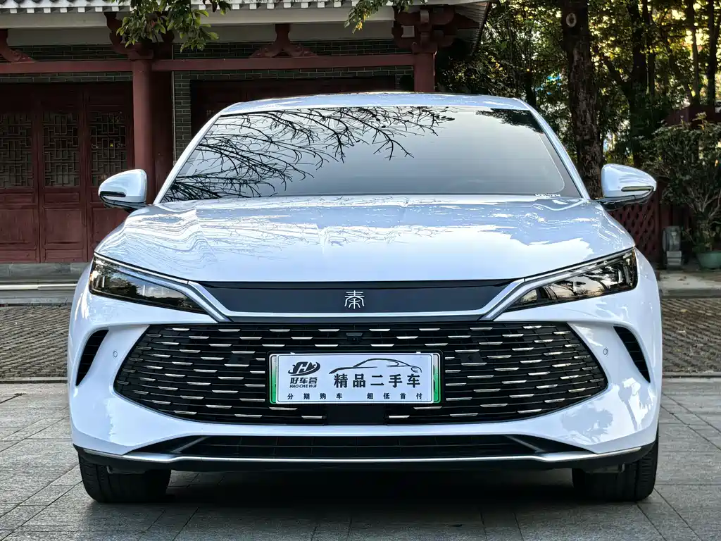 BYD QIN L