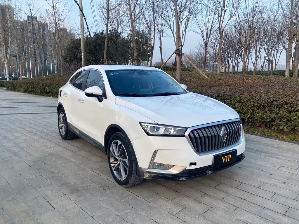 BORGWARD BAOWO BX6