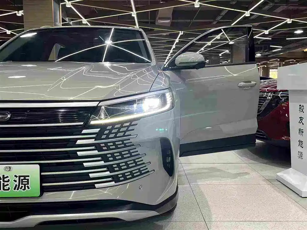 BYD Sealion 05 DM-i — миниатюра 21