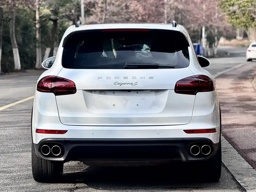 PORSCHE CAYENNE NEW ENERGY